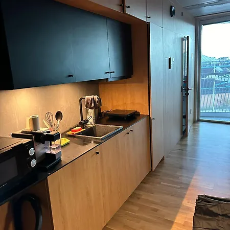 Central Apartment شقة *